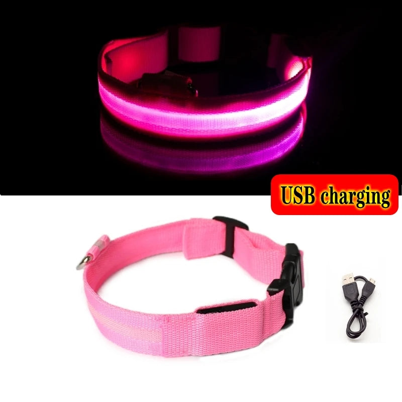 LED Light-Up Dog Collar — Night Safety Collar