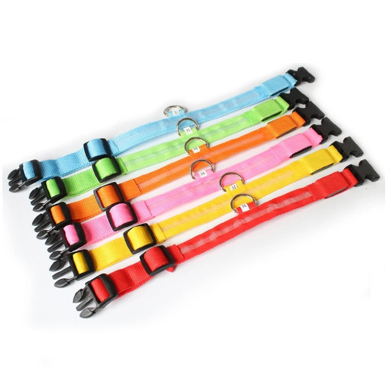 LED Light-Up Dog Collar — Night Safety Collar