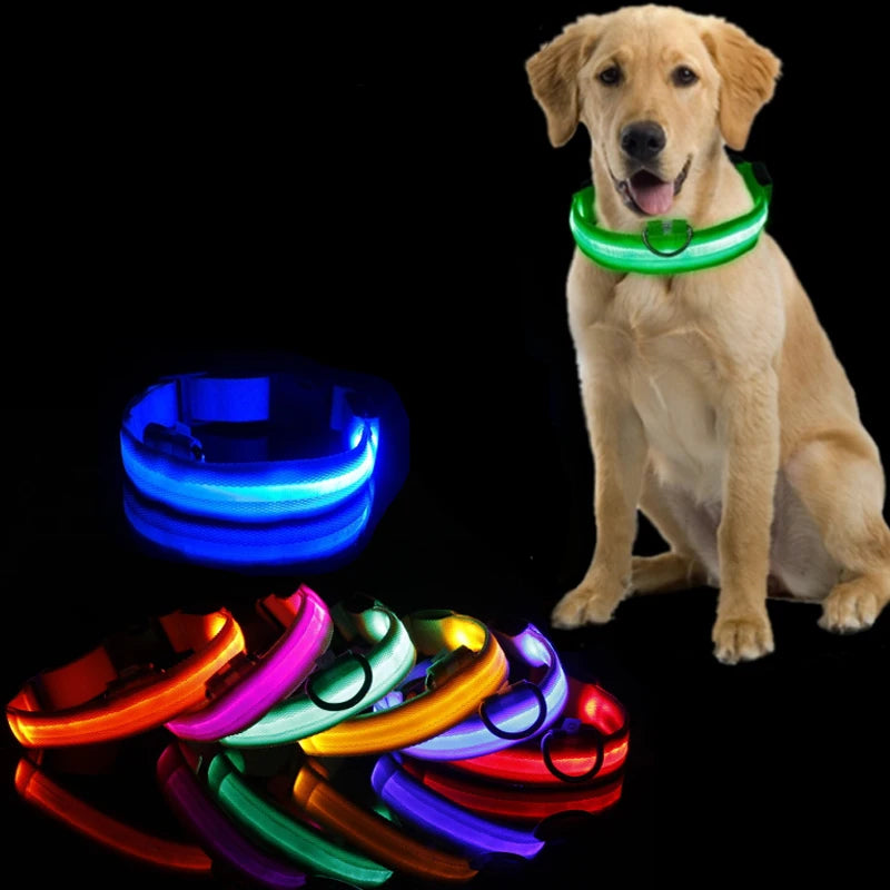 LED Light-Up Dog Collar — Night Safety Collar