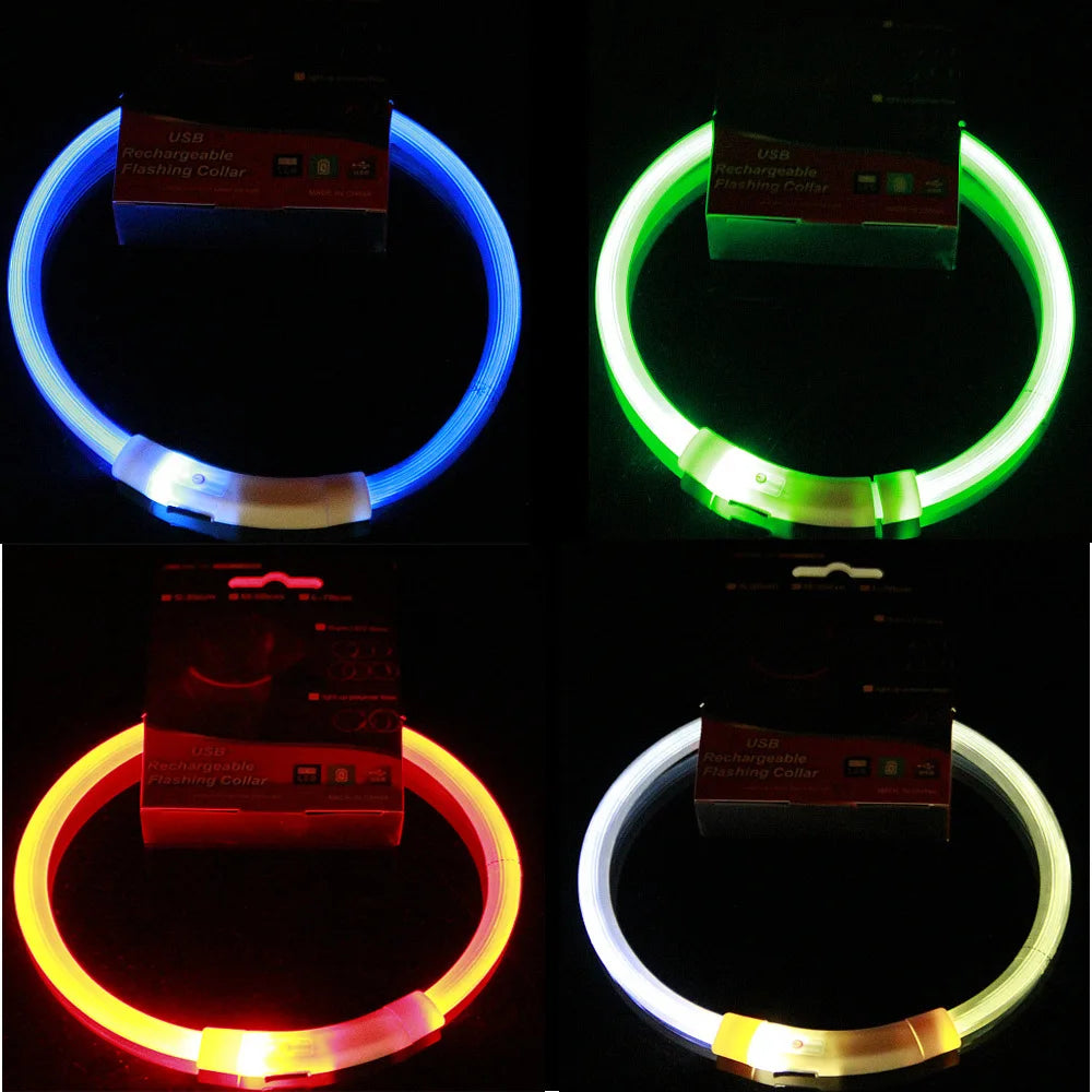 USB Rechargeable Glowing Dog Collar — Night Visibility