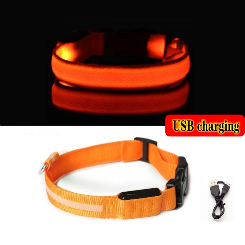 LED Light-Up Dog Collar — Night Safety Collar