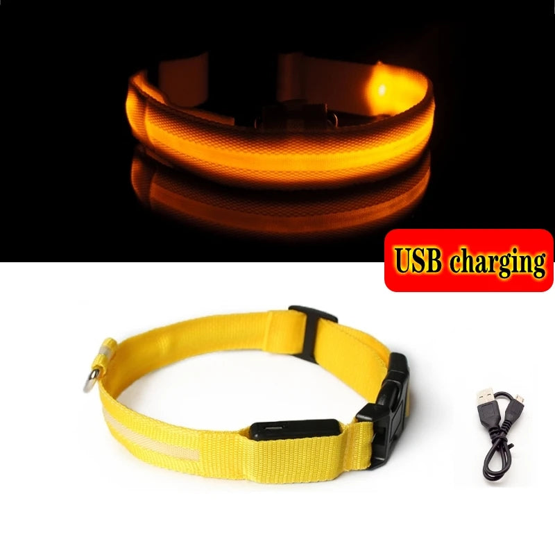 LED Light-Up Dog Collar — Night Safety Collar