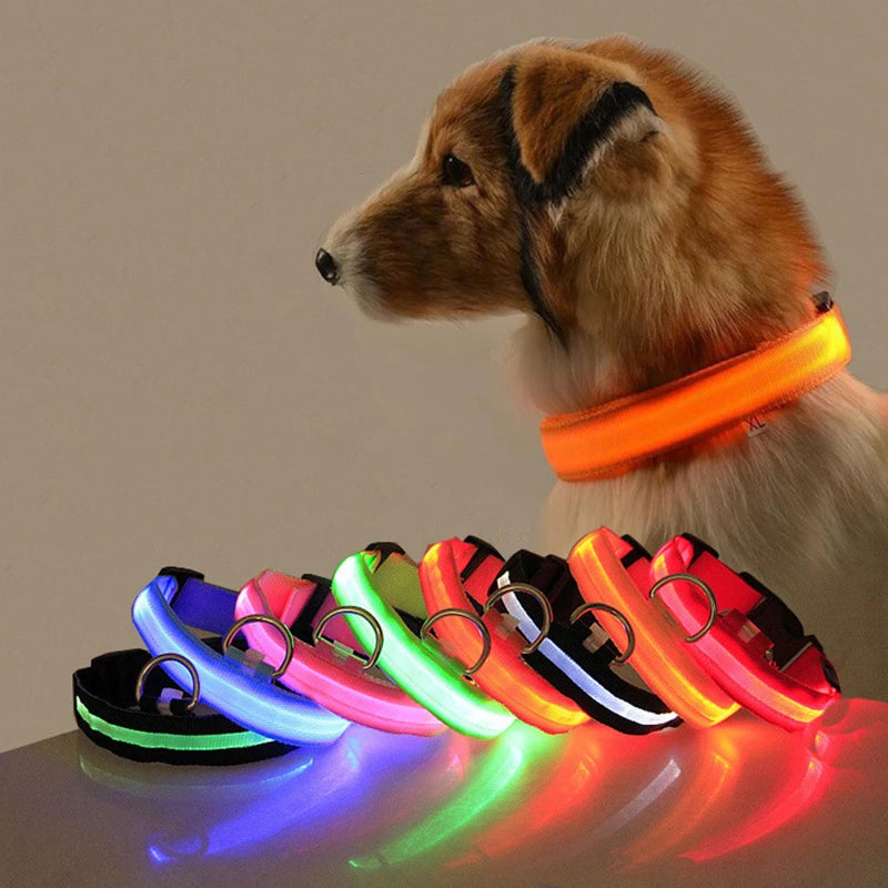 LED Light-Up Dog Collar — Night Safety Collar