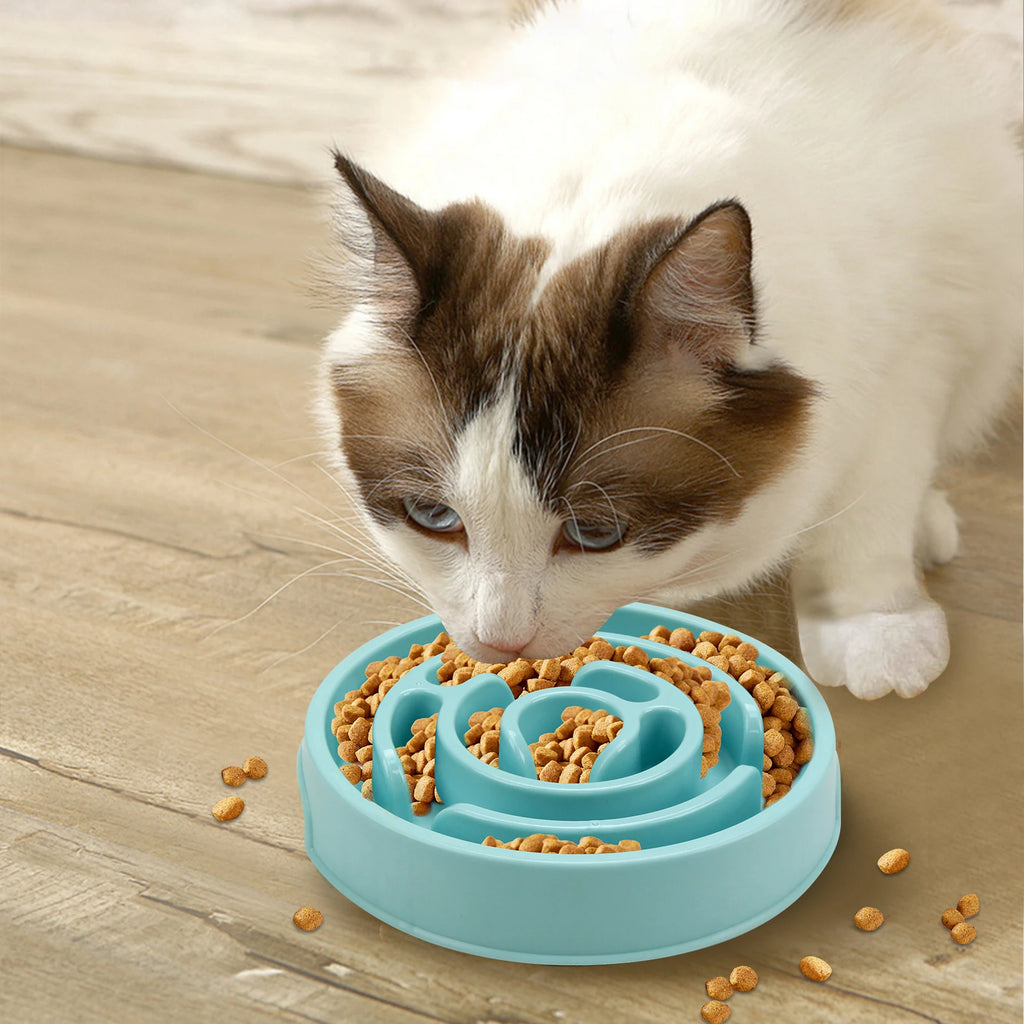 Slow Feeder Dog Bowl — Anti-Gulping Puzzle Bowl