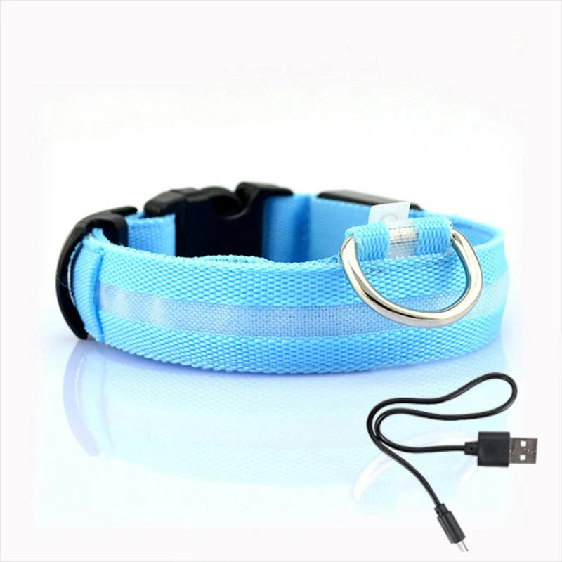LED Light-Up Dog Collar — Night Safety Collar