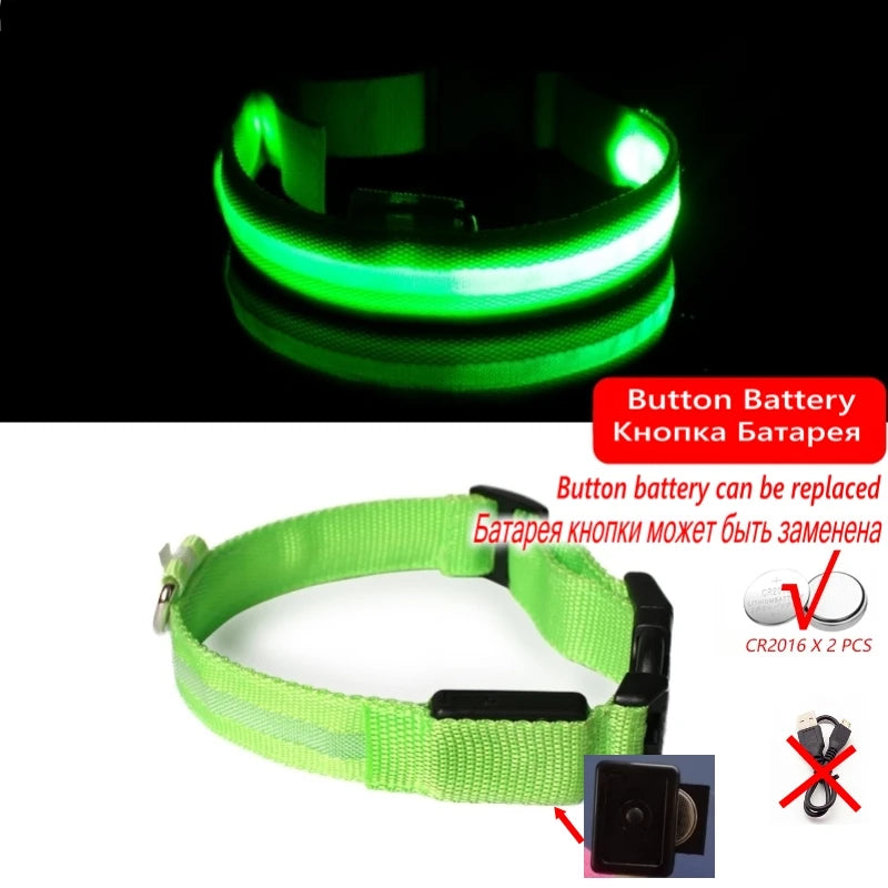LED Light-Up Dog Collar — Night Safety Collar