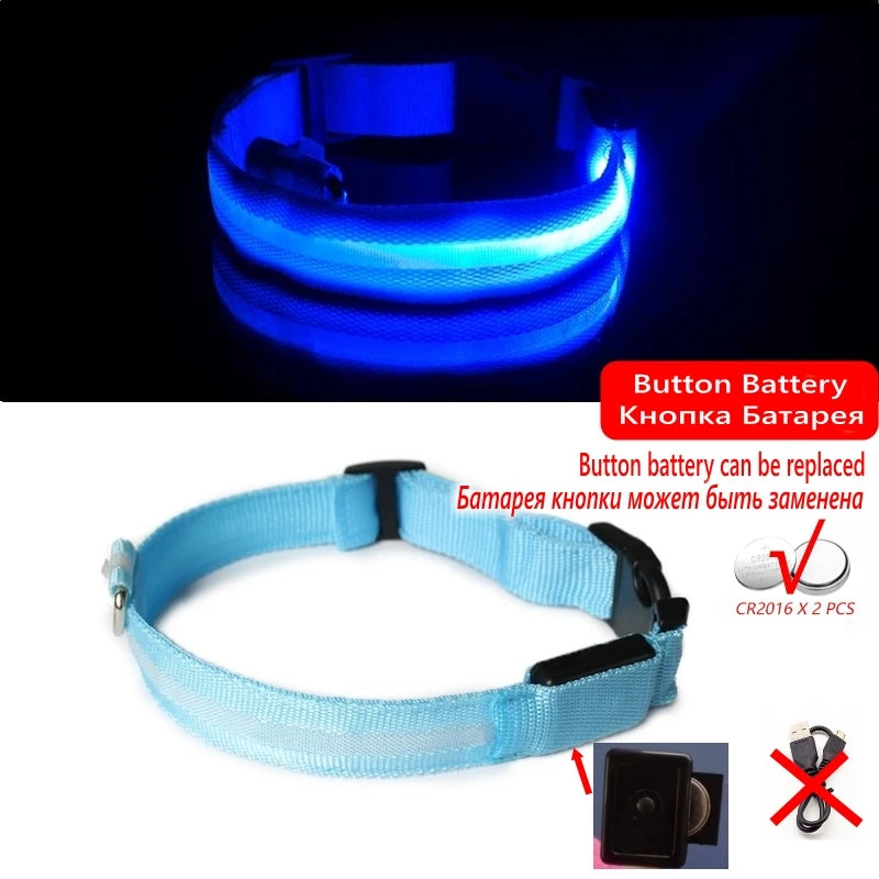 LED Light-Up Dog Collar — Night Safety Collar