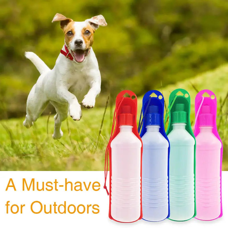 Dog Water Bottle for Walking — 250ml & 500ml