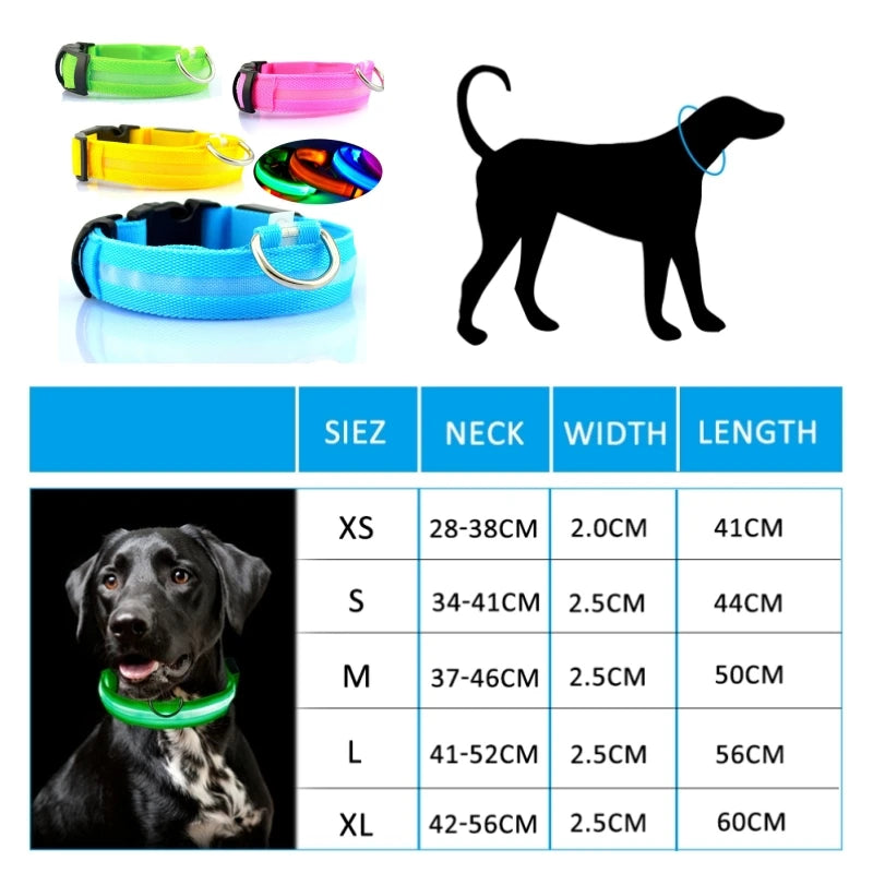 LED Light-Up Dog Collar — Night Safety Collar
