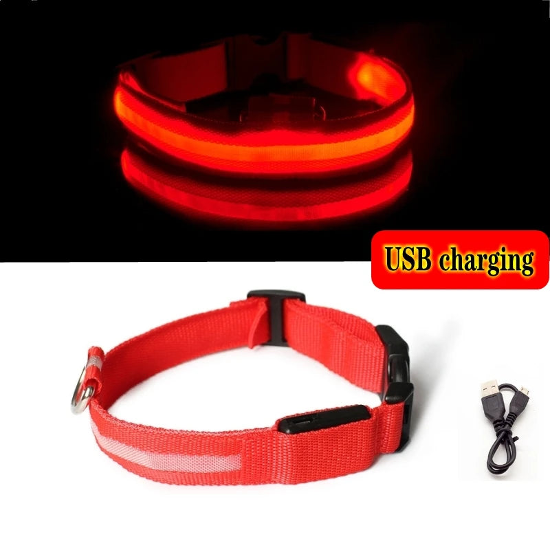 LED Light-Up Dog Collar — Night Safety Collar