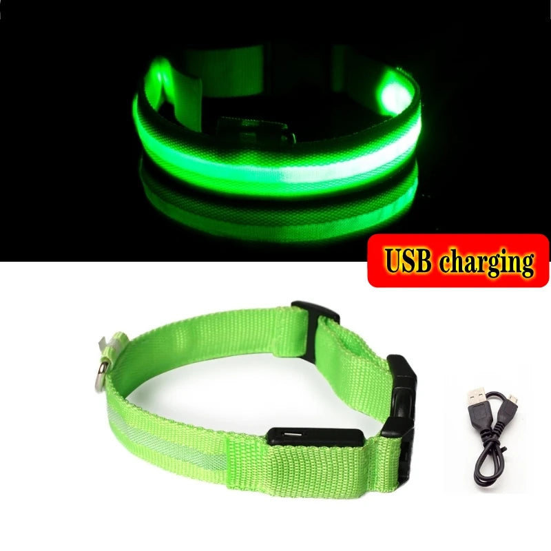 LED Light-Up Dog Collar — Night Safety Collar