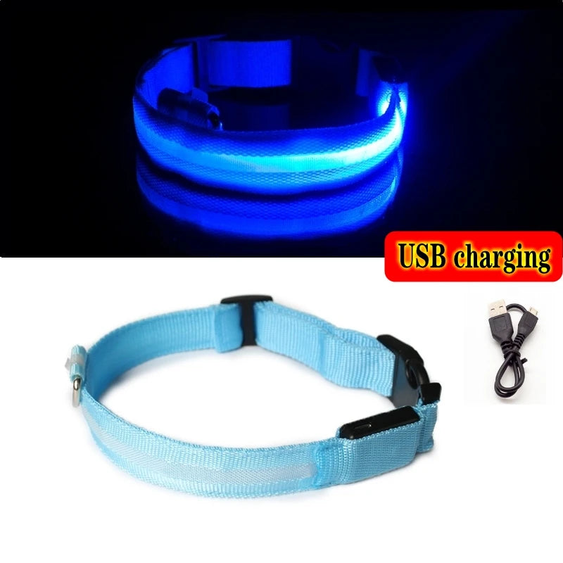 LED Light-Up Dog Collar — Night Safety Collar