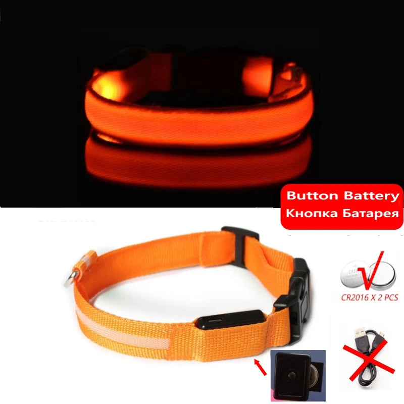 LED Light-Up Dog Collar — Night Safety Collar