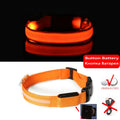 LED Light-Up Dog Collar — Night Safety Collar