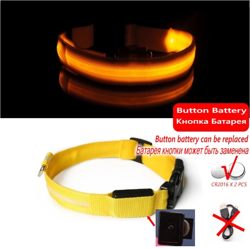 LED Light-Up Dog Collar — Night Safety Collar