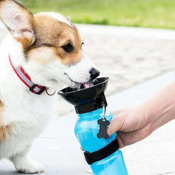 Portable Squeeze Dog Water Bottle — 500ml