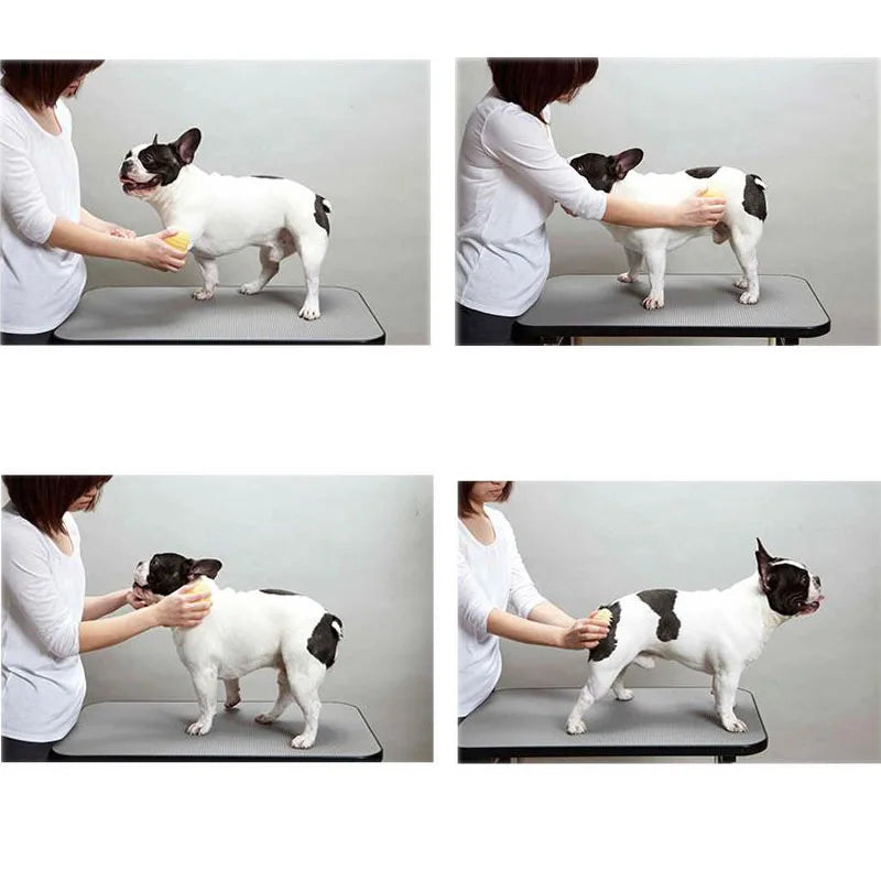 Silicone Dog & Cat Massage Grooming Brush