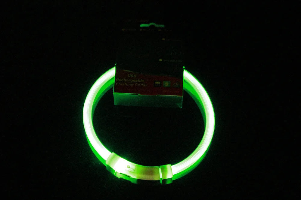 USB Rechargeable Glowing Dog Collar — Night Visibility