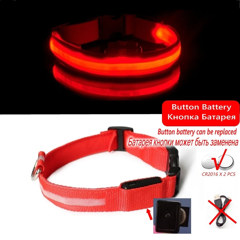 LED Light-Up Dog Collar — Night Safety Collar